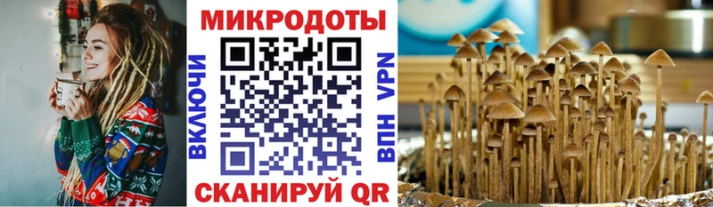 Псилоцибиновые грибы ЛСД  Ессентукская 